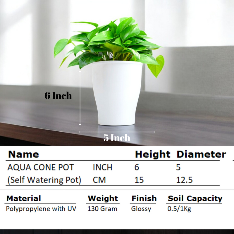 Elegant White Self-Watering Cone Planter-2PC