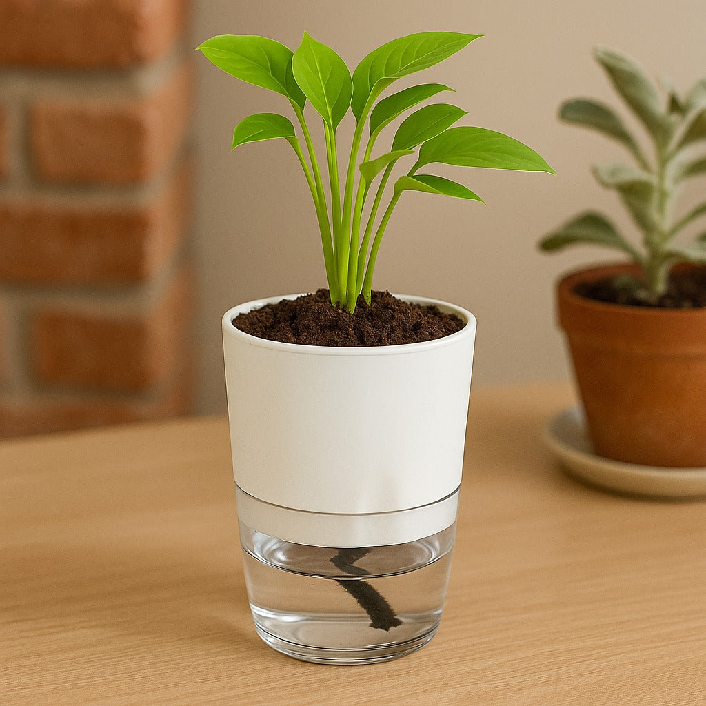 Soft Curve White Self-Watering Small Planter - 4 PC