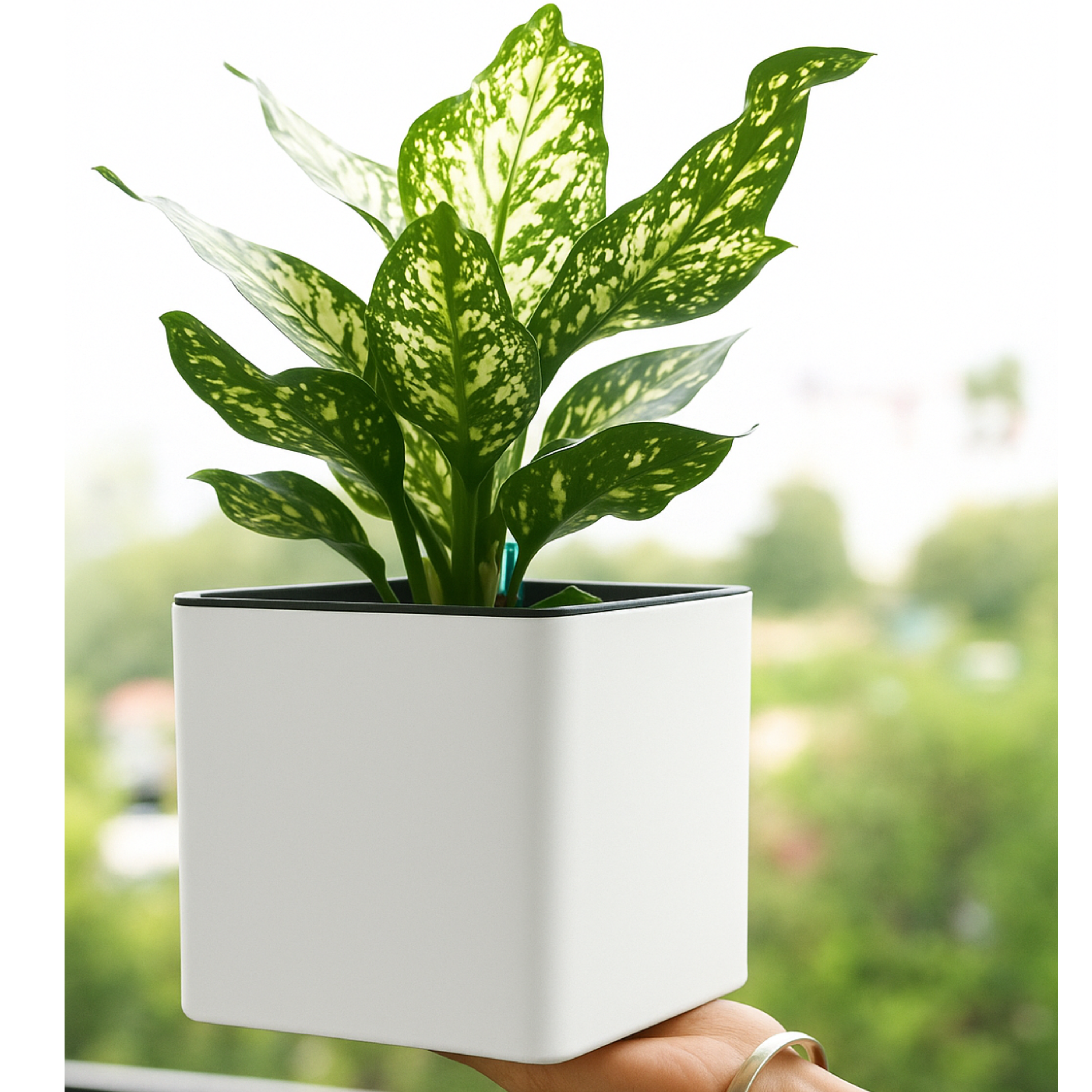 Elegant Multi-Color Self-Watering Square Planter - 7 PC