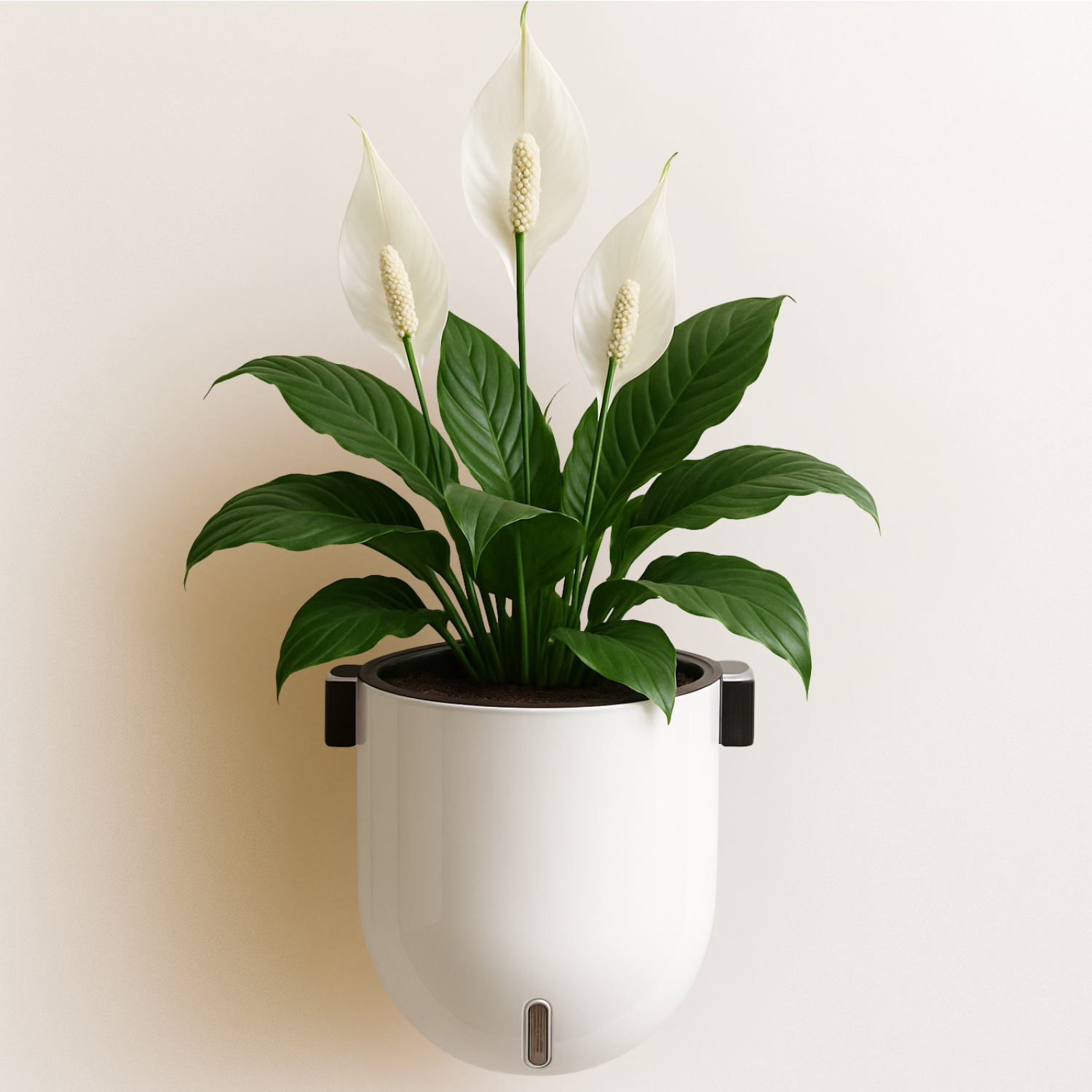 Elegant White Self-Watering Wall Hanging Sphere Planter