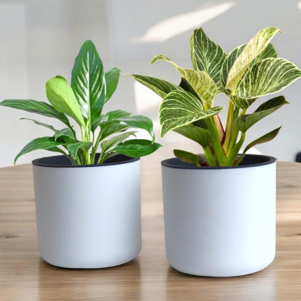 Classic White Self-Watering Round Planter