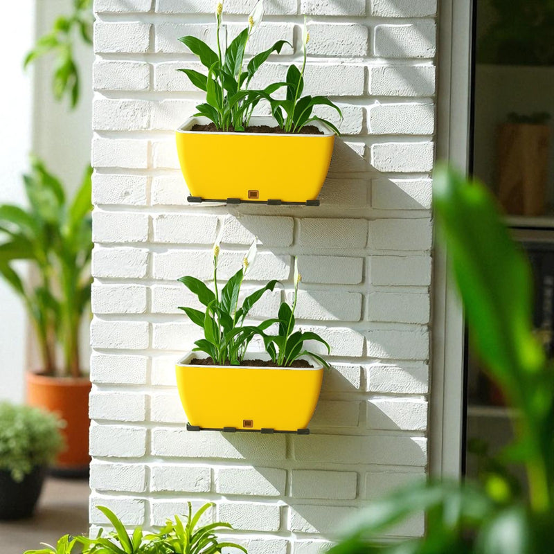 Rectangular Self-Watering Wall Planter - Yellow