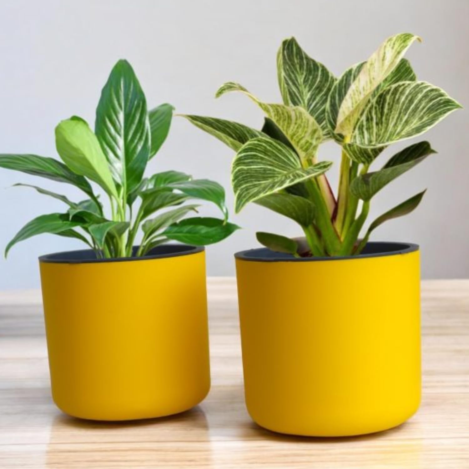 Classic Yellow Self-Watering Round Planter