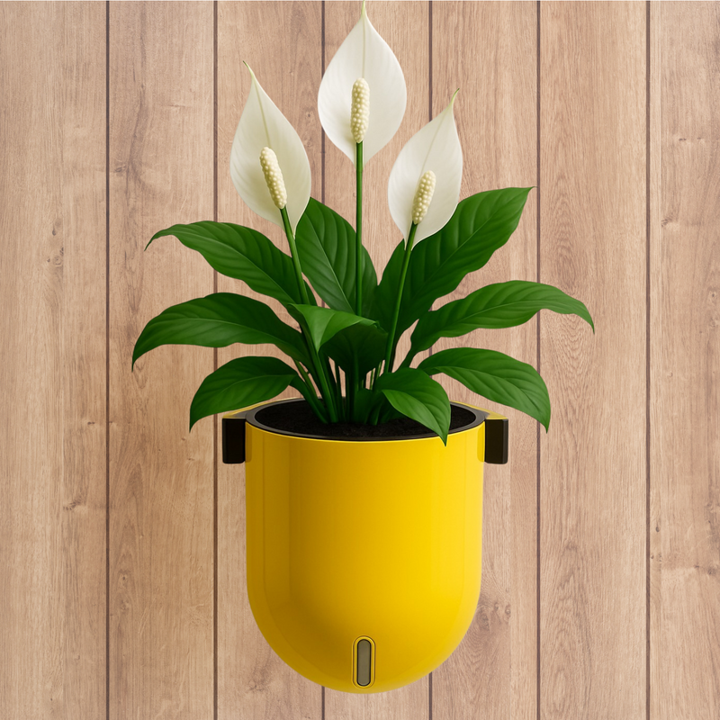 Elegant Yellow Self-Watering Wall Hanging Sphere Planter