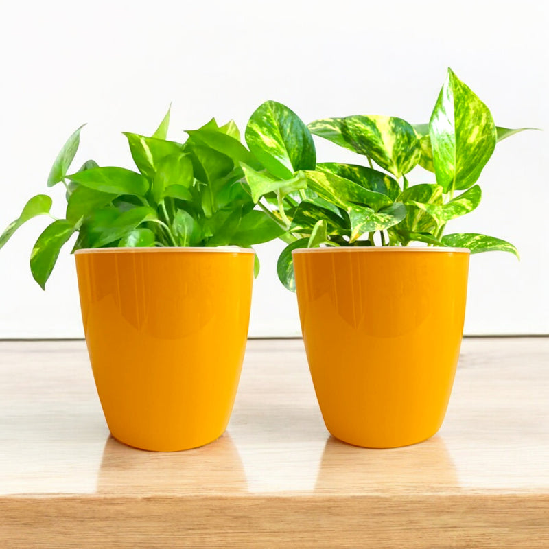 Elegant Yellow Self-Watering Vistara Planter-2PC