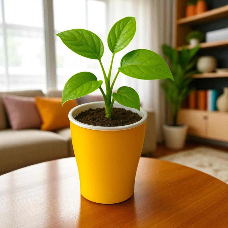 Elegant Yellow Self-Watering Cone Planter-2PC
