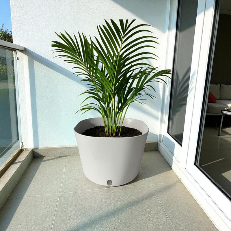 Big Cube Self-Watering Plant Container
