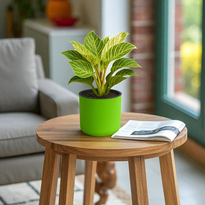 Classic Parrot Green Self-Watering Round Planter