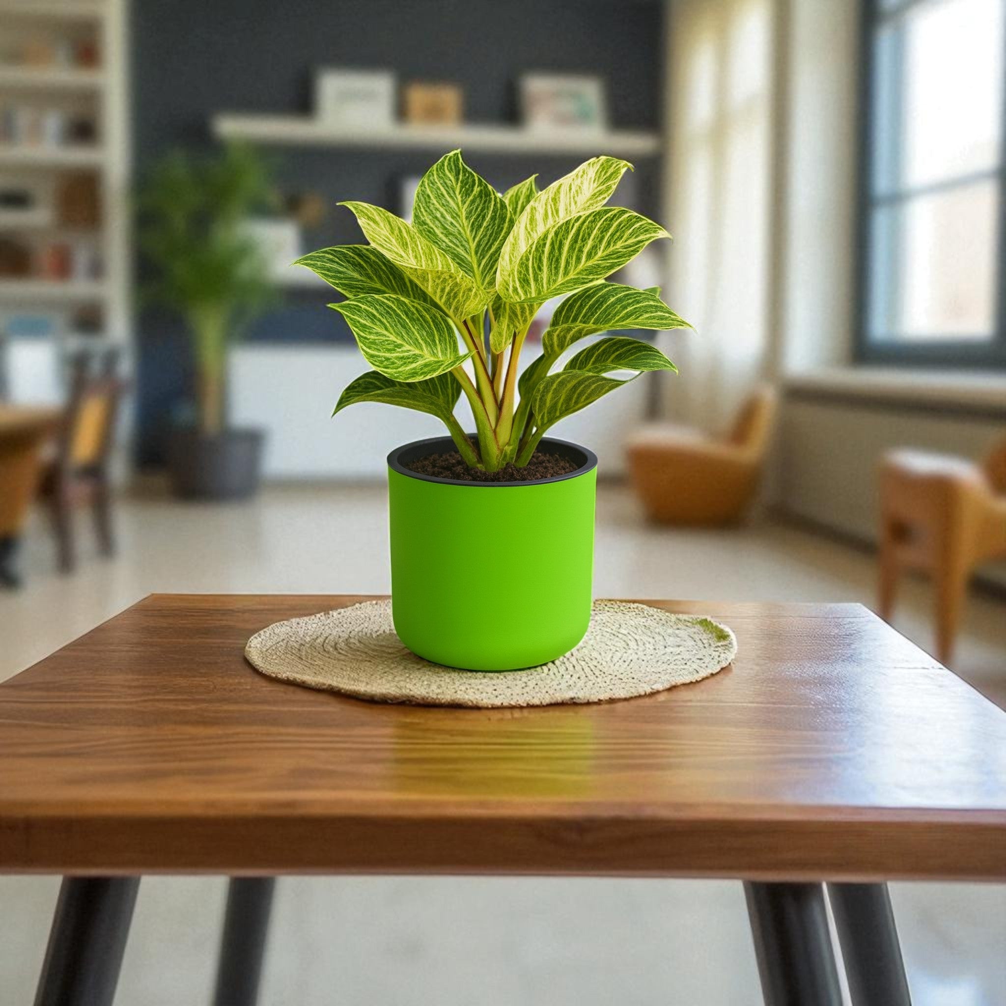 Classic Parrot Green Self-Watering Round Planter
