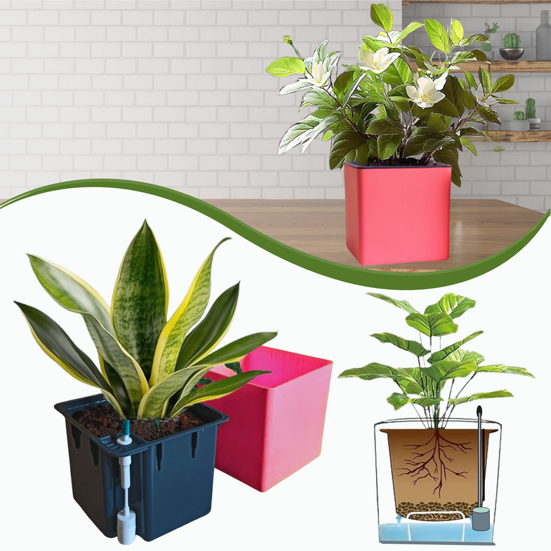 Elegant Baby Pink Self-Watering Square Planter