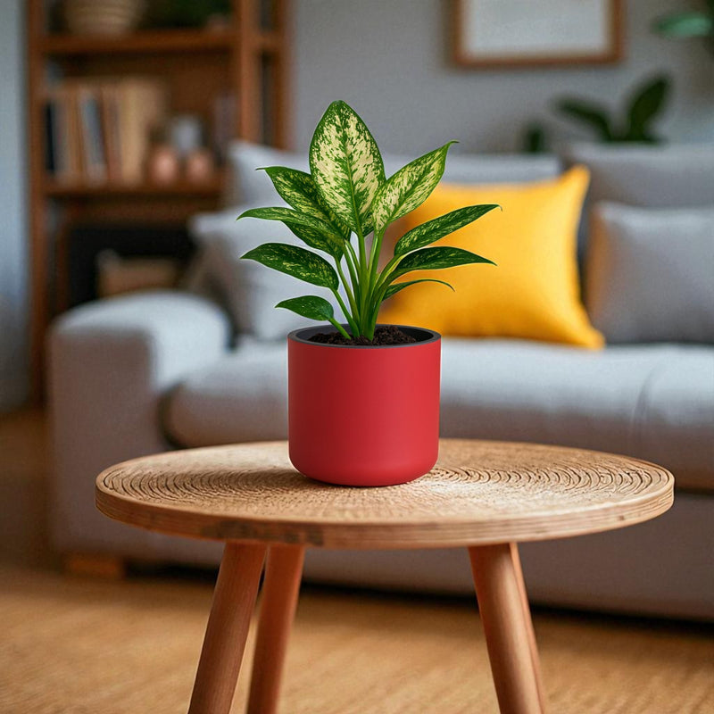 Classic Maroon Self-Watering Round Planter
