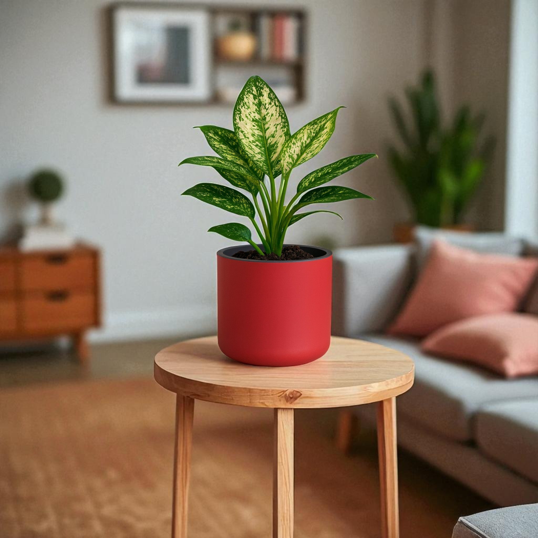 Classic Maroon Self-Watering Round Planter