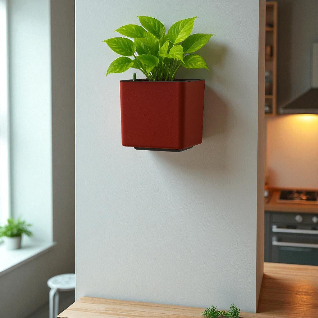 Elegant Multi-Color Self-Watering Wall Hanging Square Planter - 7 PC