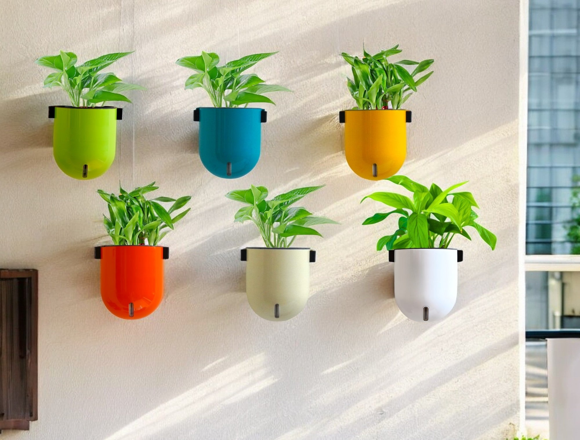 Elegant Multi-Color Self-Watering Wall Hanging Sphere Planter