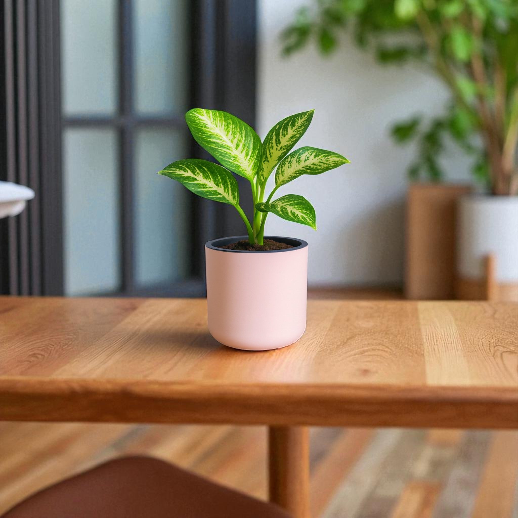 Classic Peach Self-Watering Round Planter