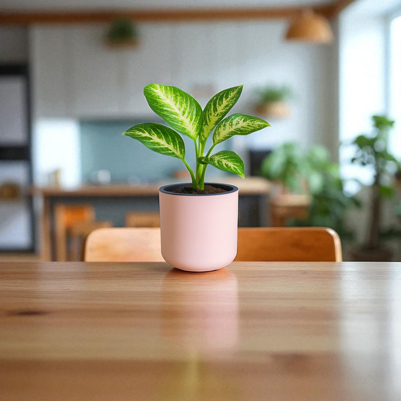 Classic Peach Self-Watering Round Planter