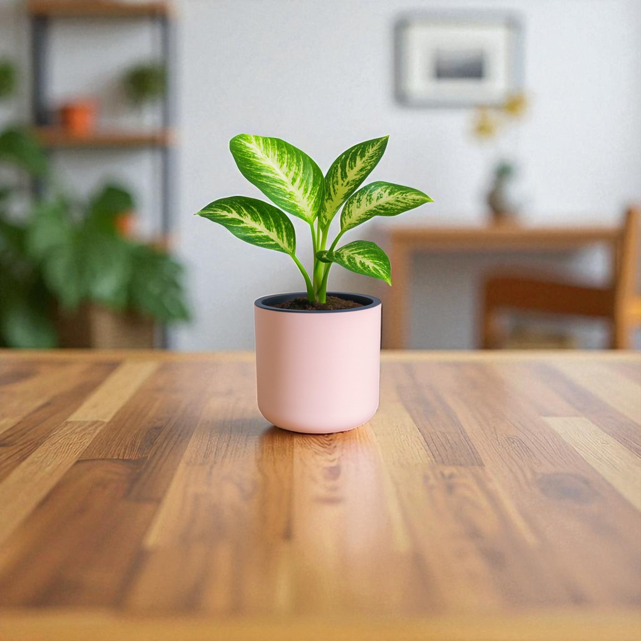 Classic Peach Self-Watering Round Planter