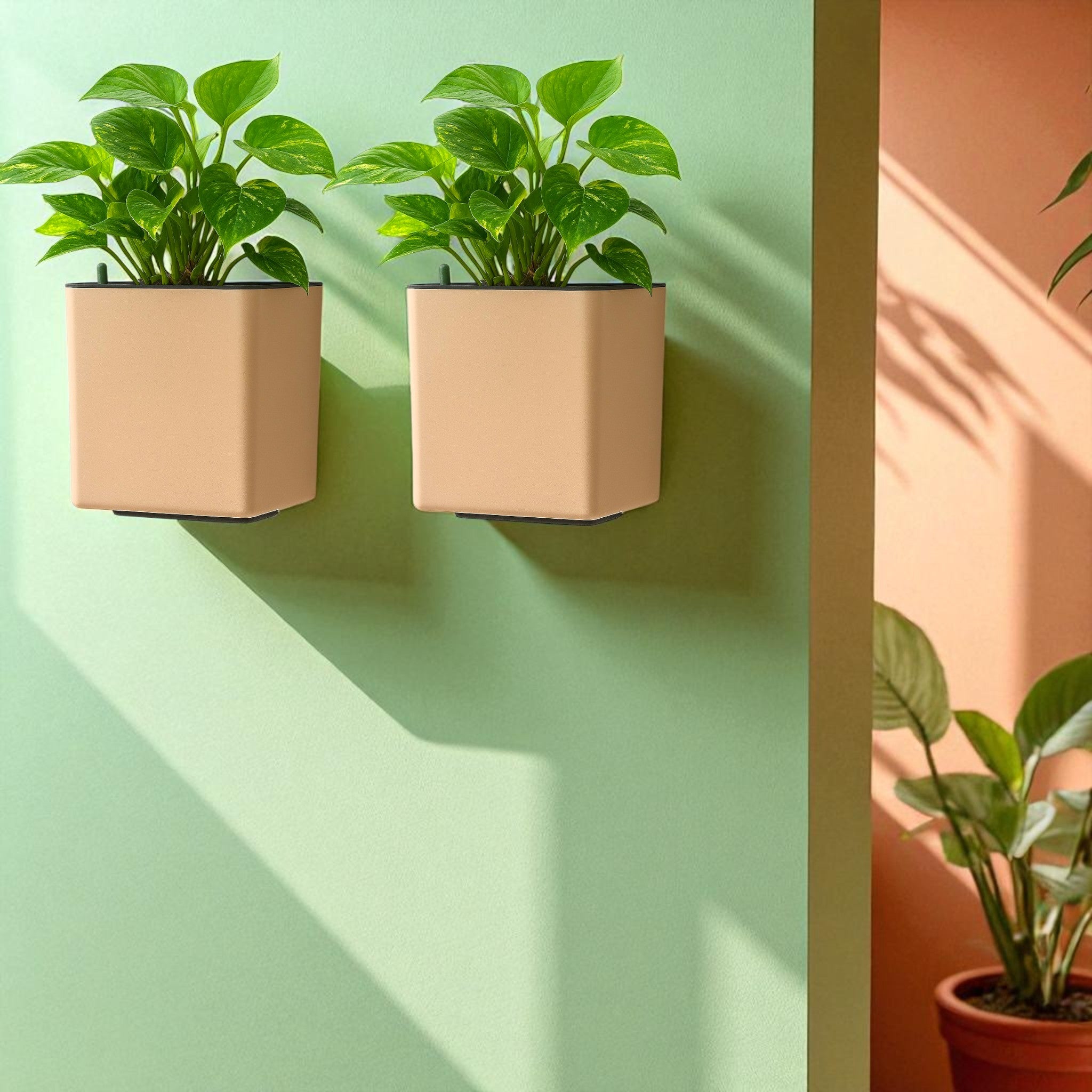 Elegant Peach Self-Watering Wall Hanging Square Planter