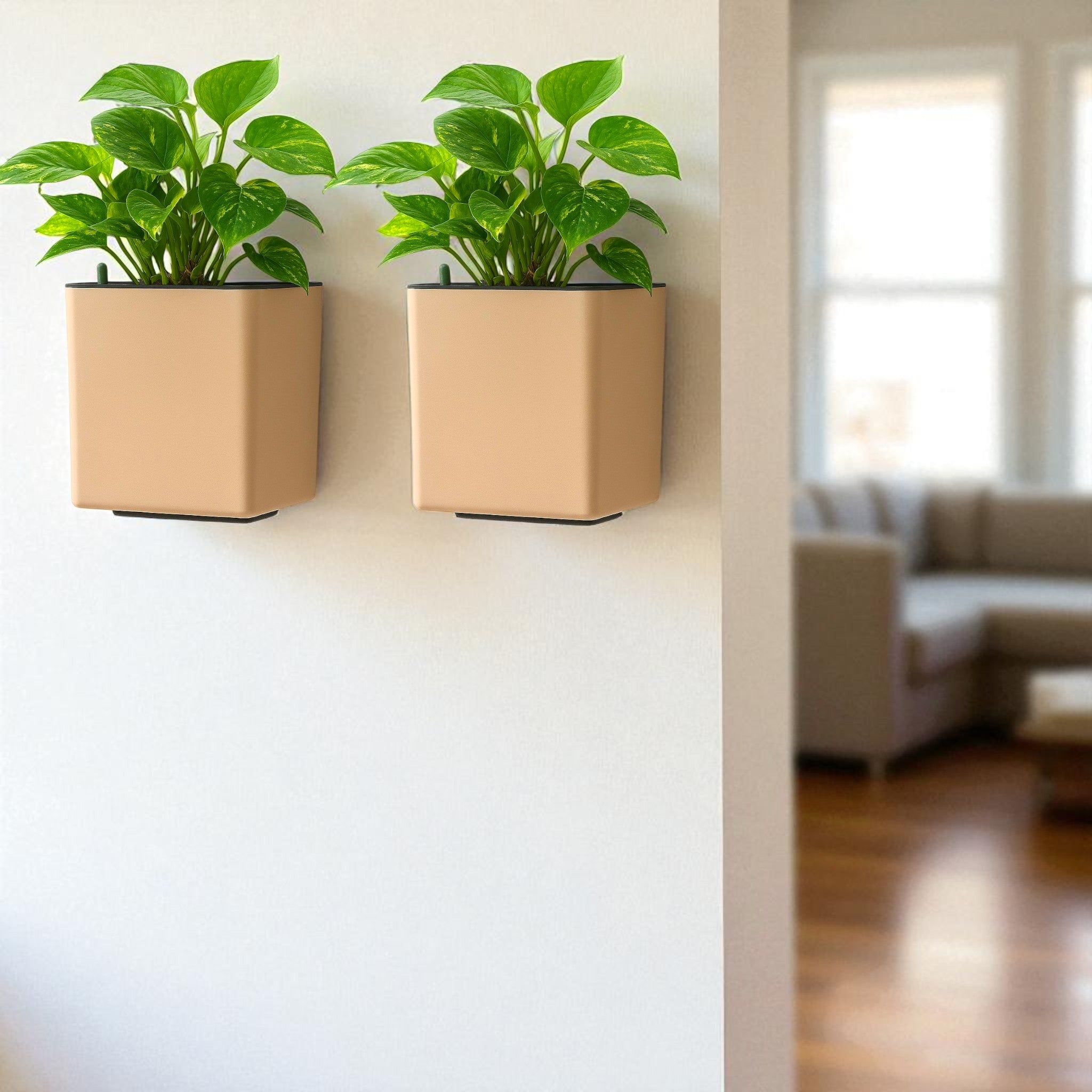 Elegant Peach Self-Watering Wall Hanging Square Planter