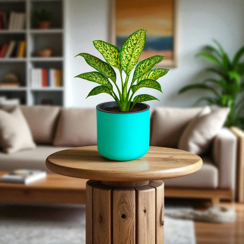 Classic Peacock Green Self-Watering Round Planter