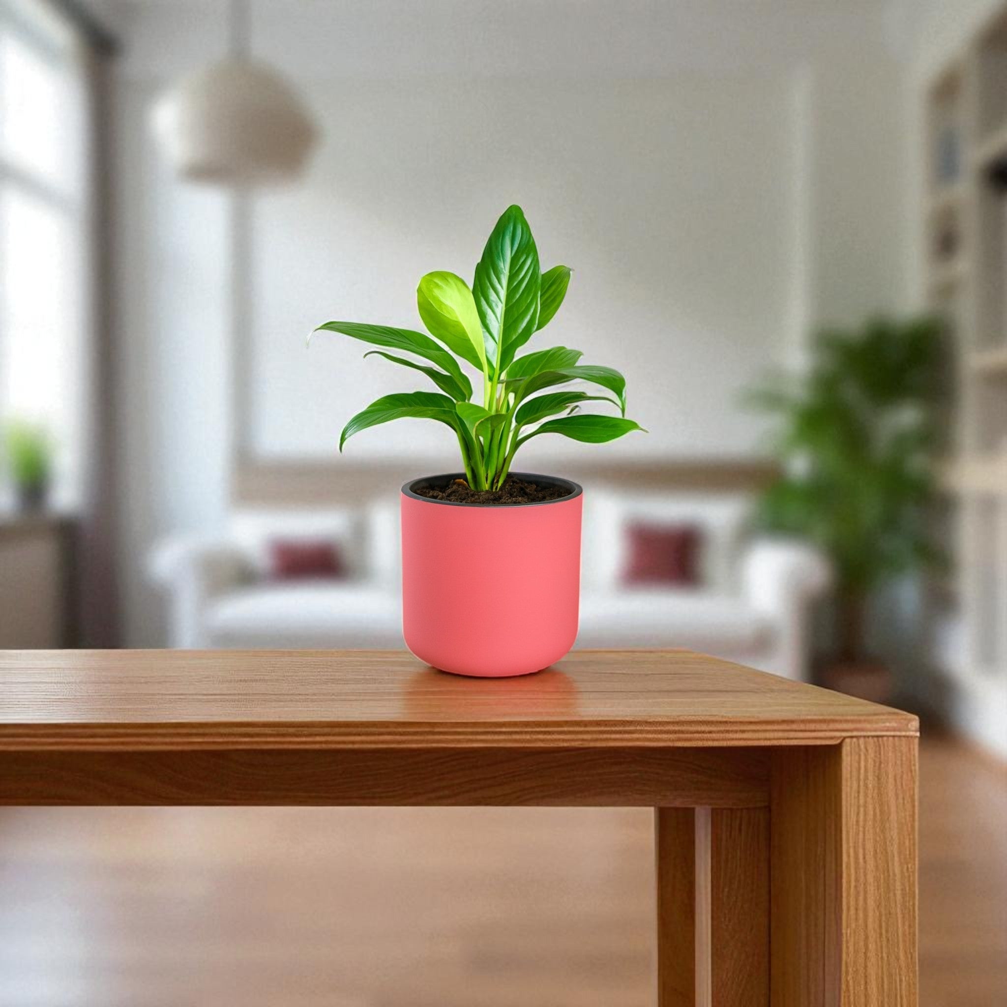 Classic Baby Pink Self-Watering Round Planter