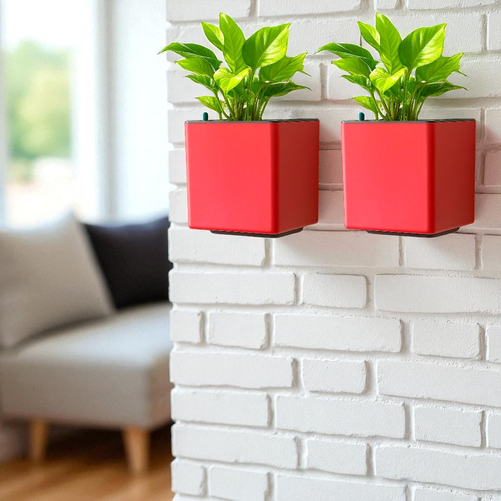 Elegant Baby Pink Self-Watering Wall Hanging Square Planter
