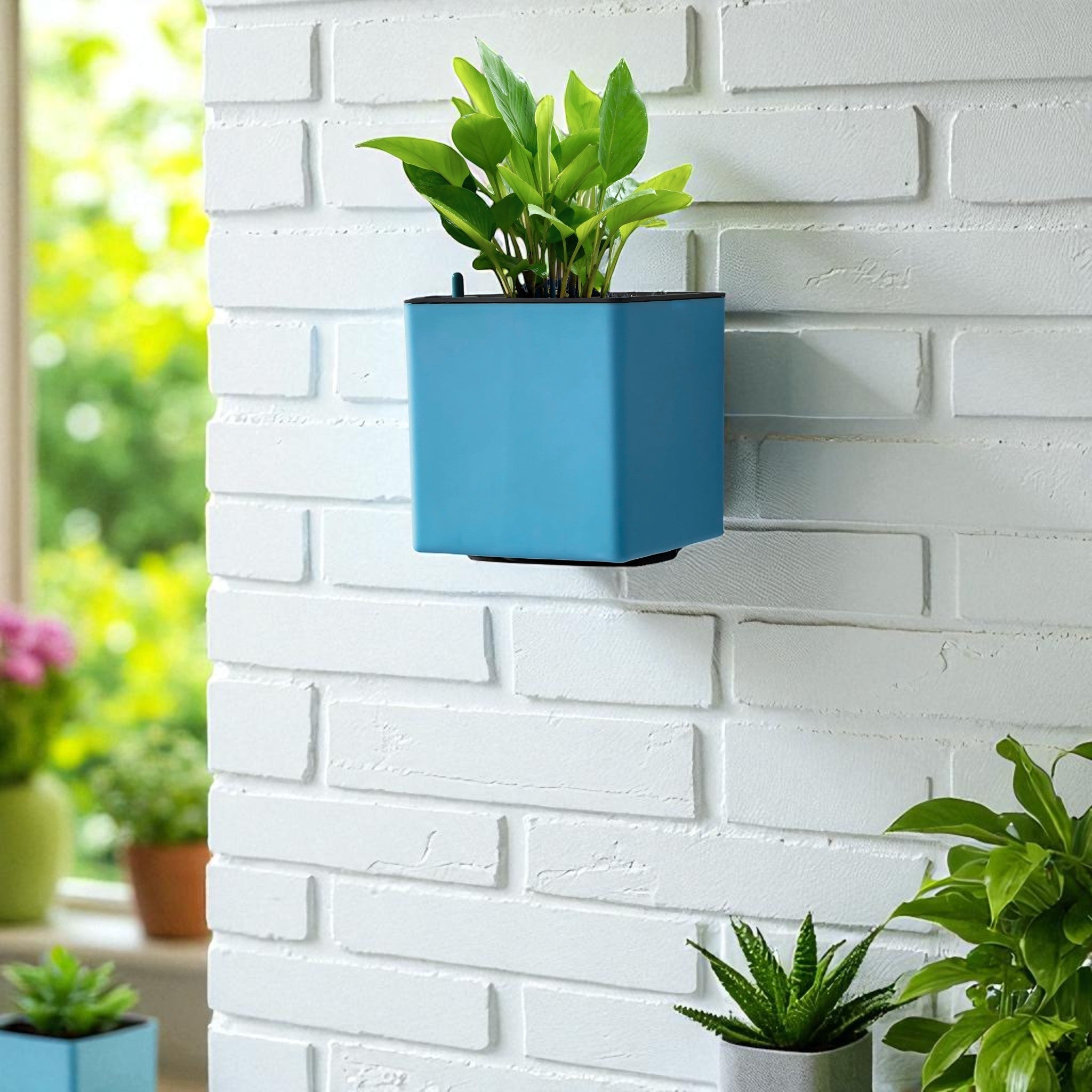 Elegant Multi-Color Self-Watering Wall Hanging Square Planter - 7 PC