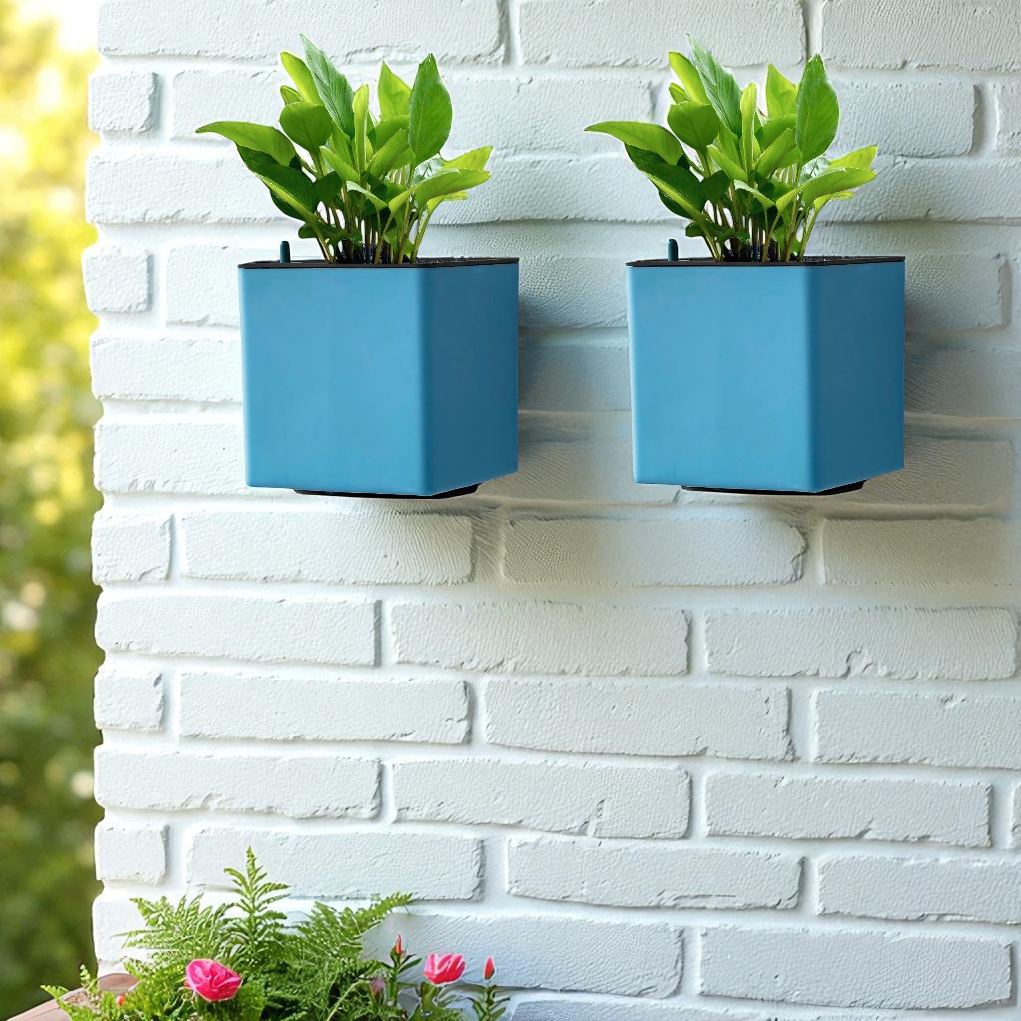 Elegant Sea Green Self-Watering Wall Hanging Square Planter