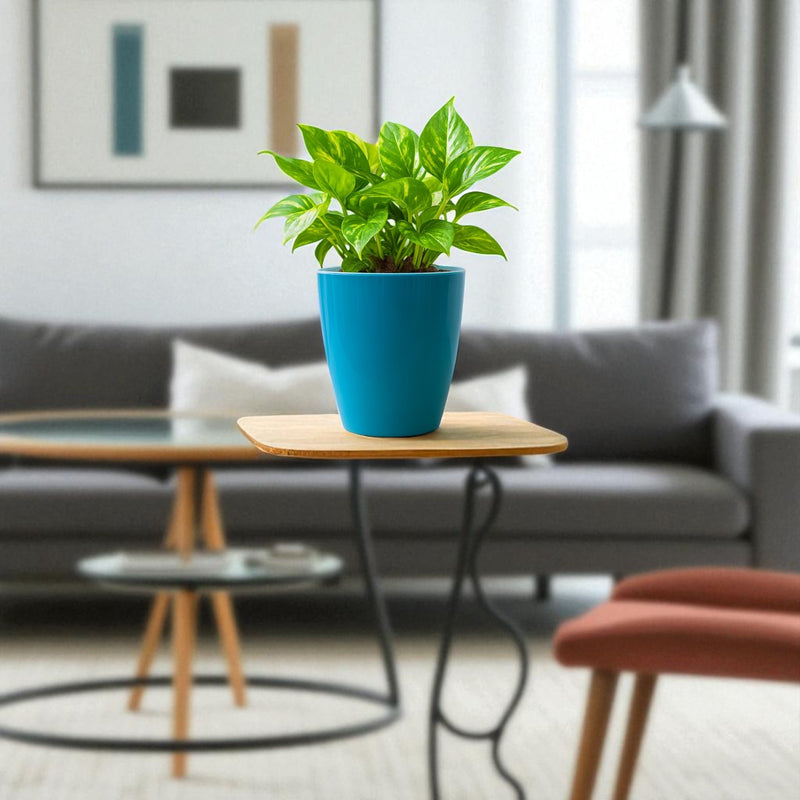 Elegant Sea Green Self-Watering Vistara Planter-2PC