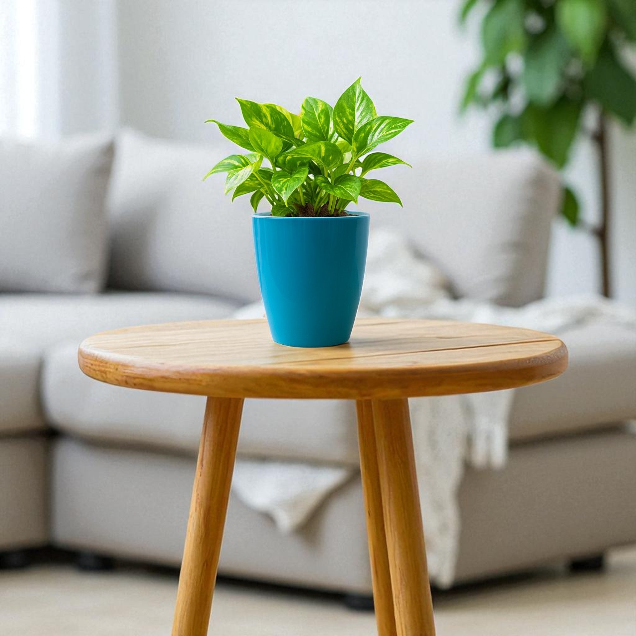 Elegant Sea Green Self-Watering Vistara Planter-2PC
