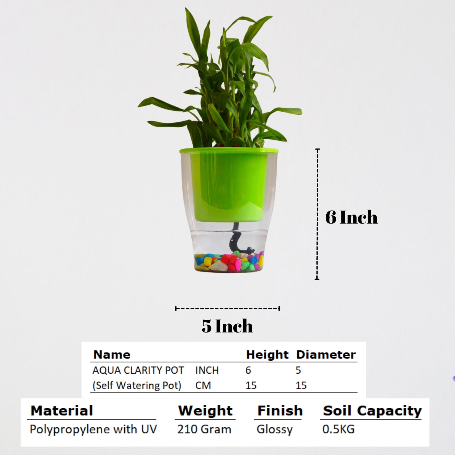 Elegant Parrot Green Self-Watering Clear Planter-2PC