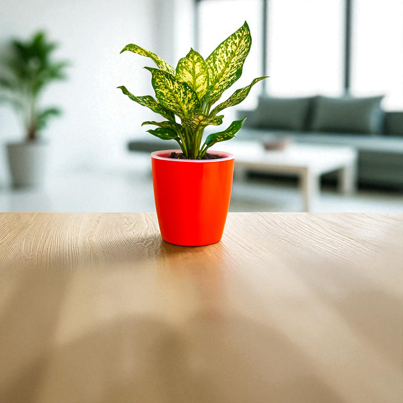 Elegant Red Self-Watering Vistara Planter-2PC