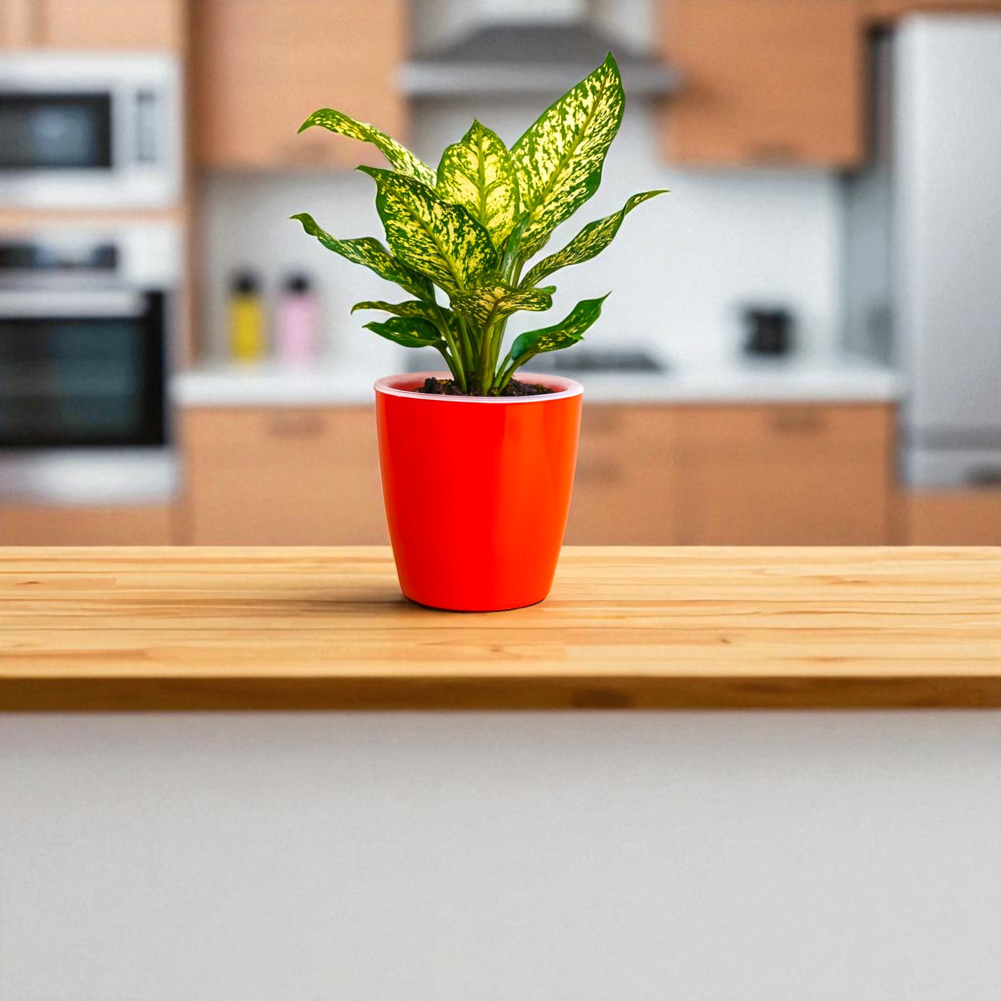 Elegant Red Self-Watering Vistara Planter-2PC