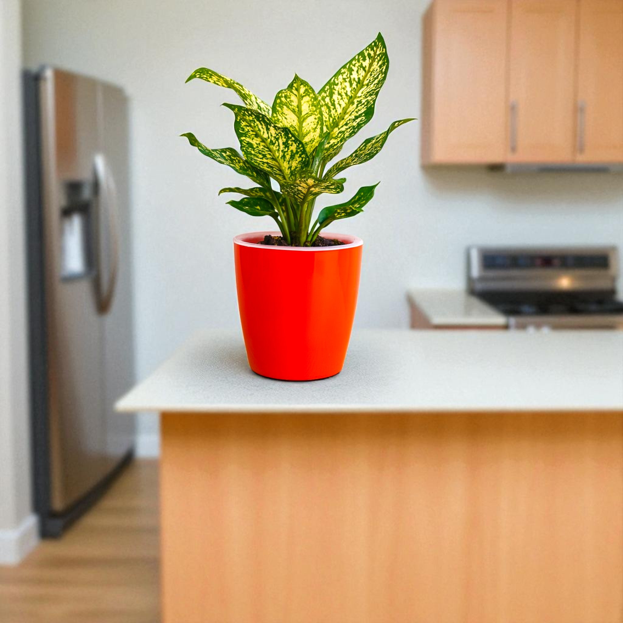Elegant Red Self-Watering Vistara Planter-2PC