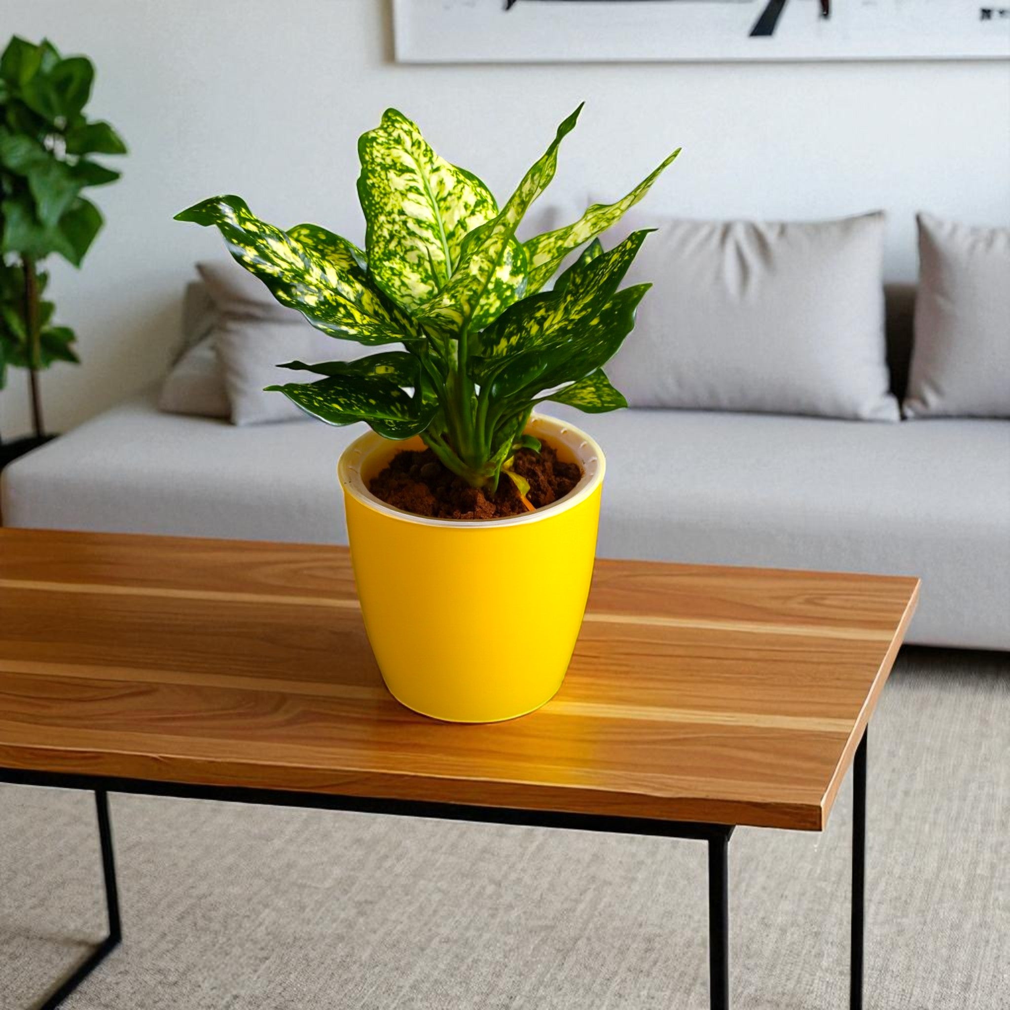 Elegant Yellow Self-Watering Vistara Planter-2PC