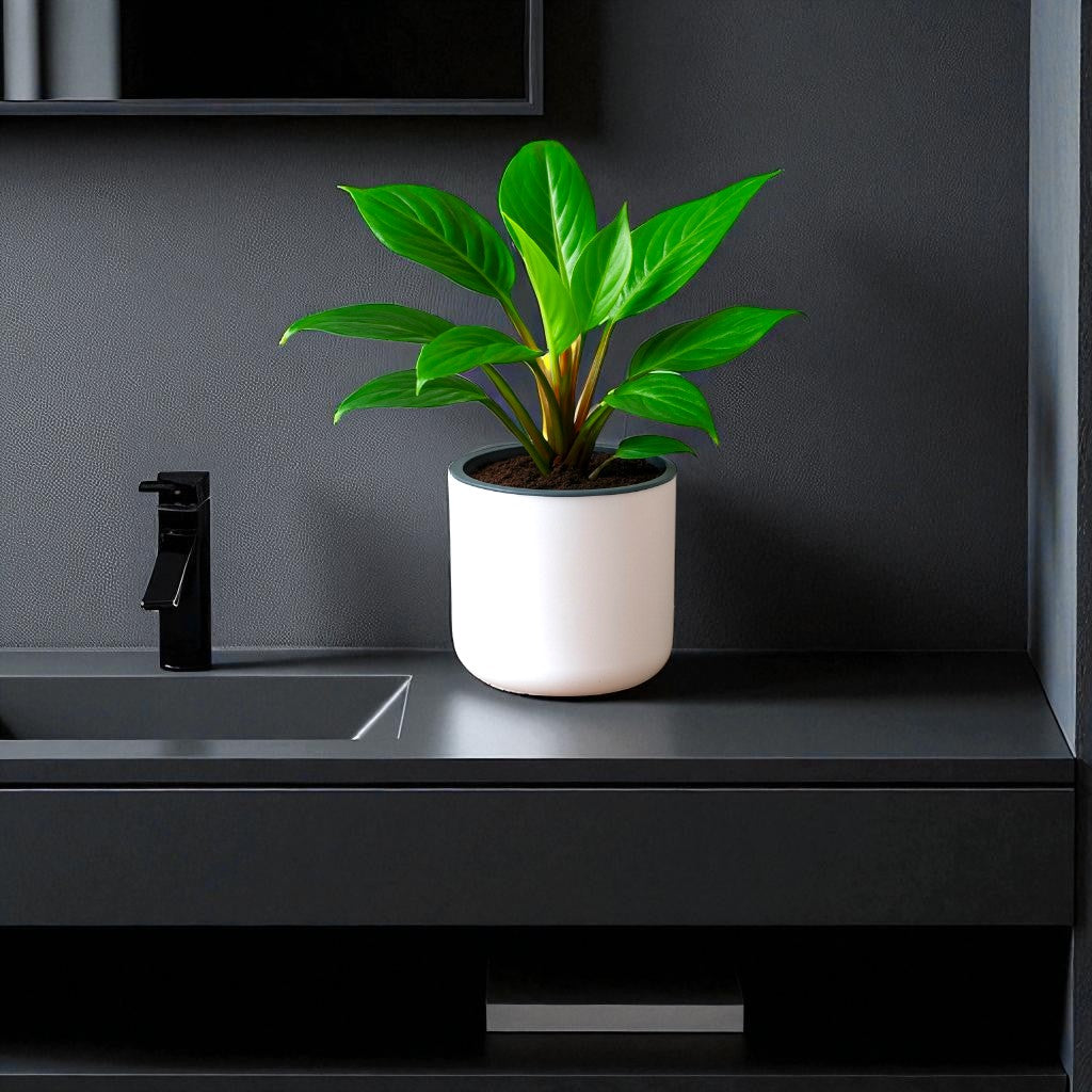 Classic White Self-Watering Round Planter