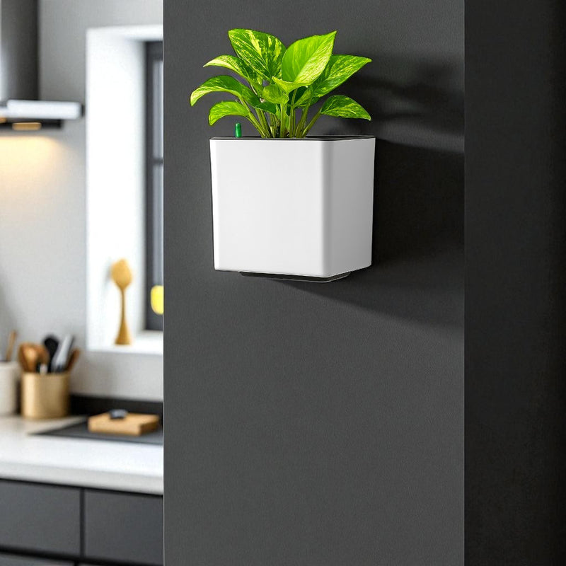 Elegant Multi-Color Self-Watering Wall Hanging Square Planter - 7 PC