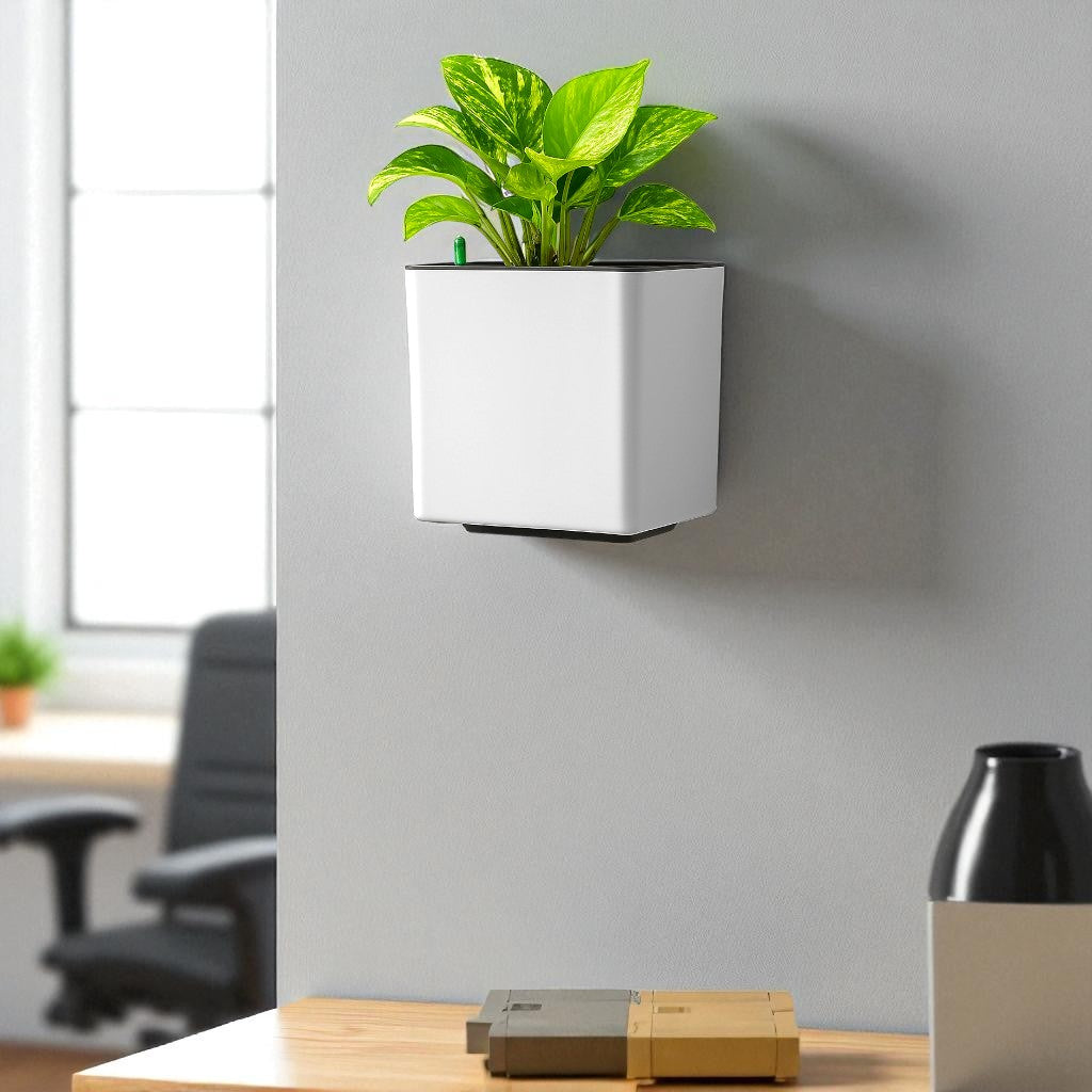 Elegant White Self-Watering Wall Hanging Square Planter