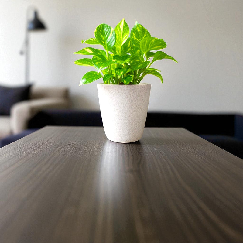 Elegant White Self-Watering Vistara Planter-2PC