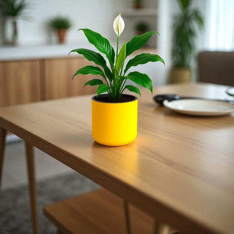 Classic Yellow Self-Watering Round Planter