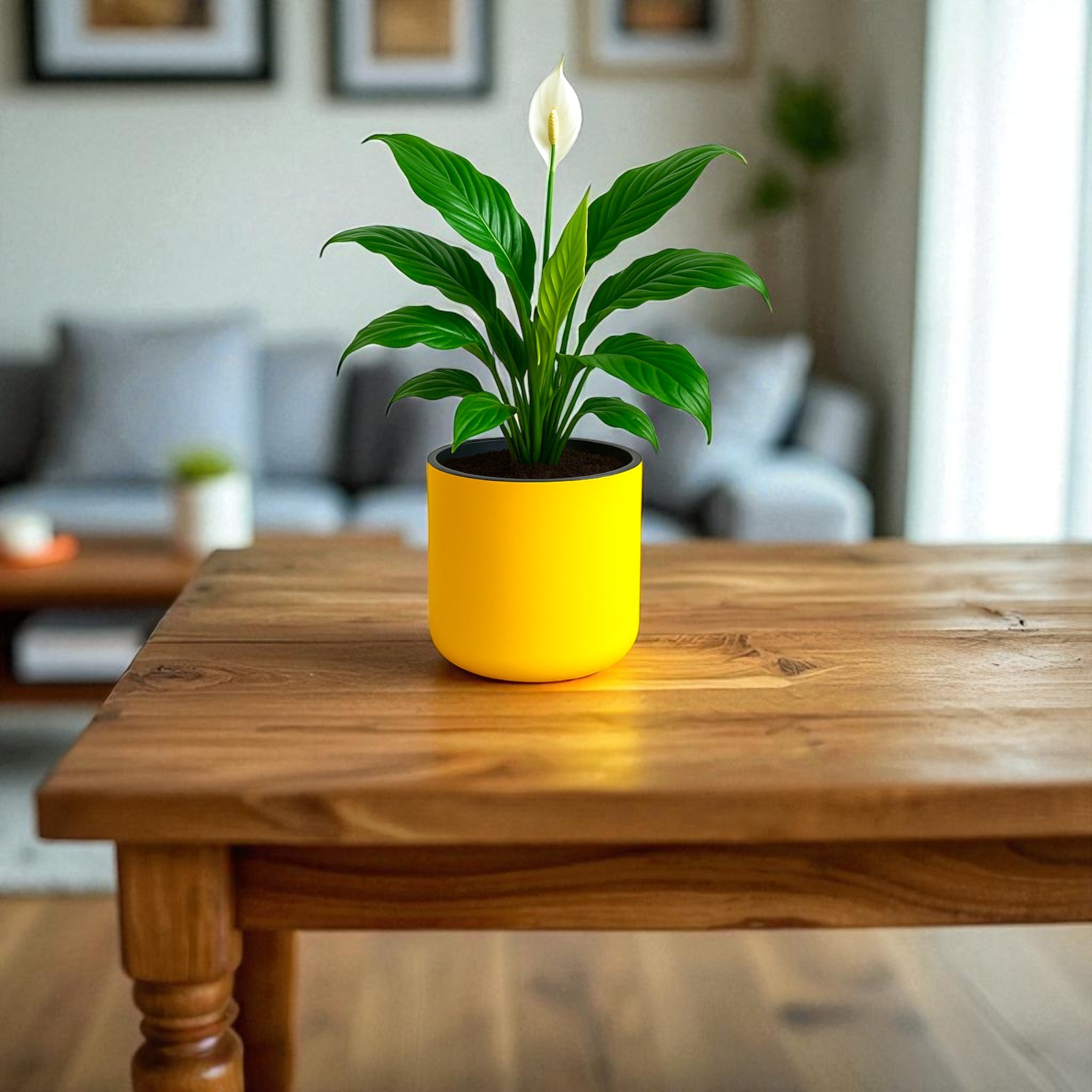 Classic Yellow Self-Watering Round Planter