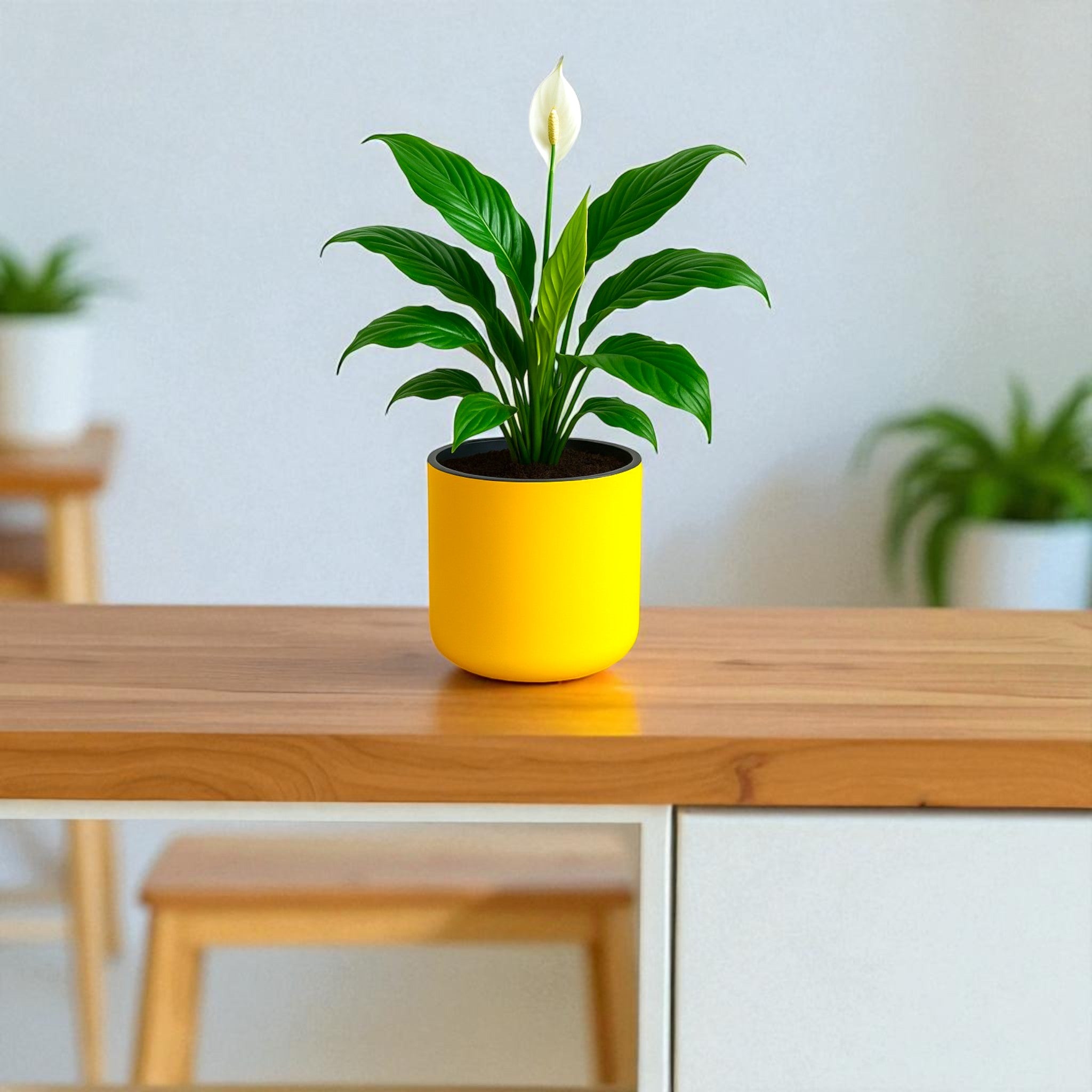 Classic Yellow Self-Watering Round Planter