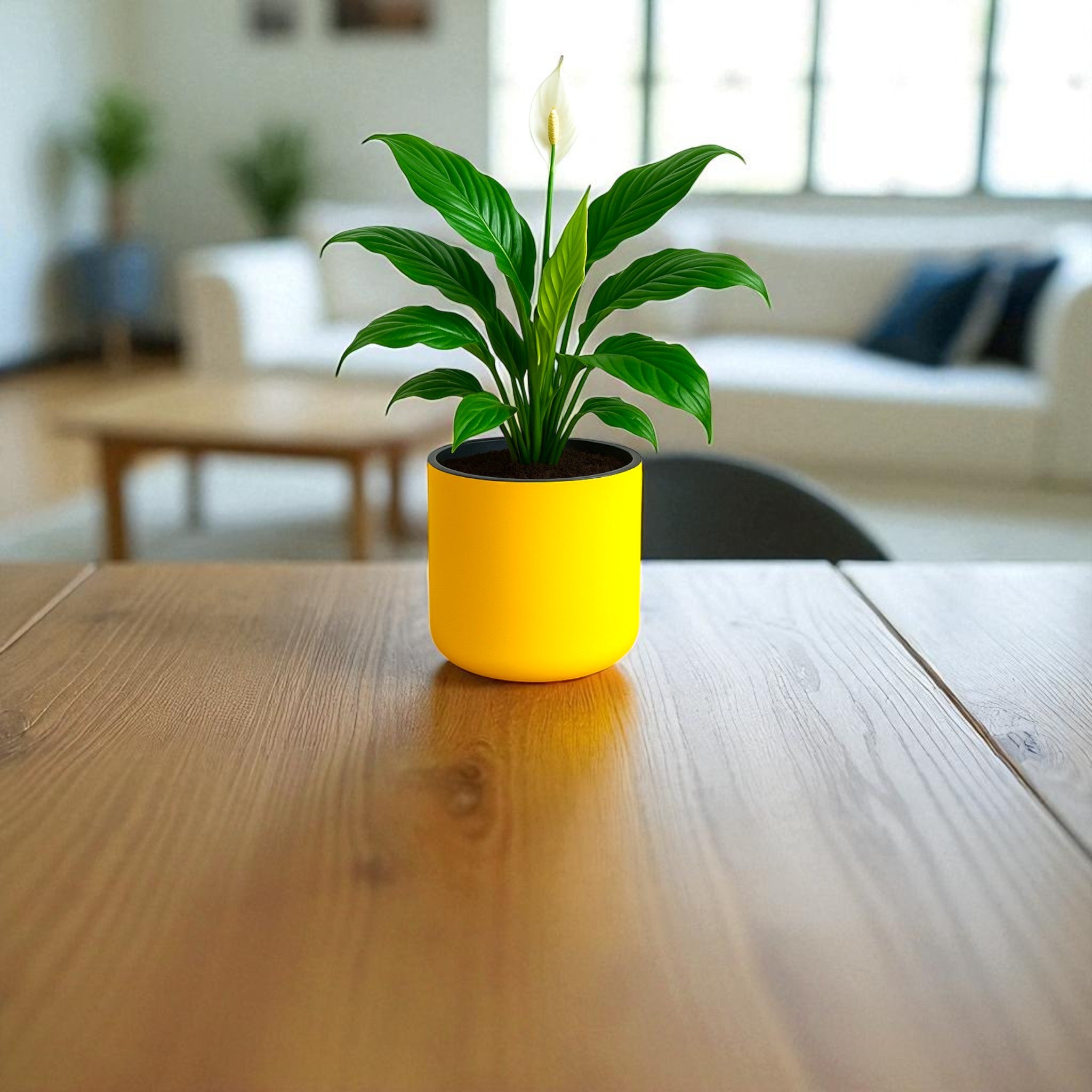 Classic Yellow Self-Watering Round Planter