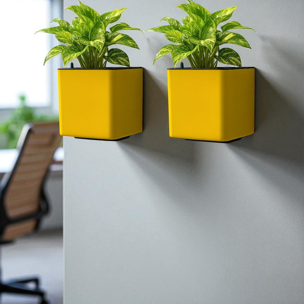 Elegant Yellow Self-Watering Wall Hanging Square Planter