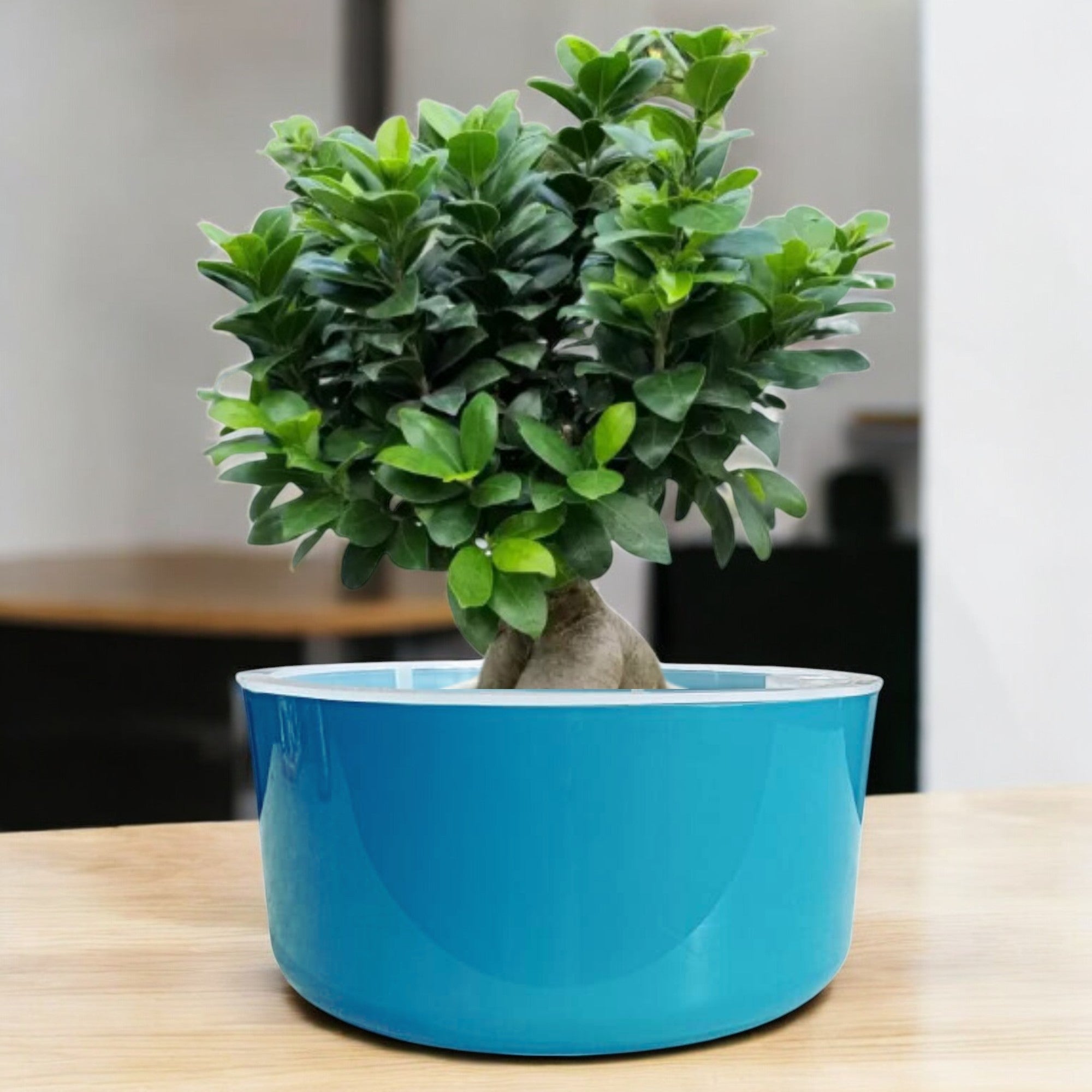 Big Circular Self-Watering Plant Container – Sea Green