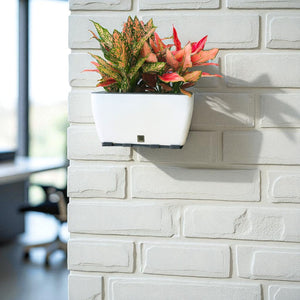 Rectangular Self-Watering Wall Planter - White