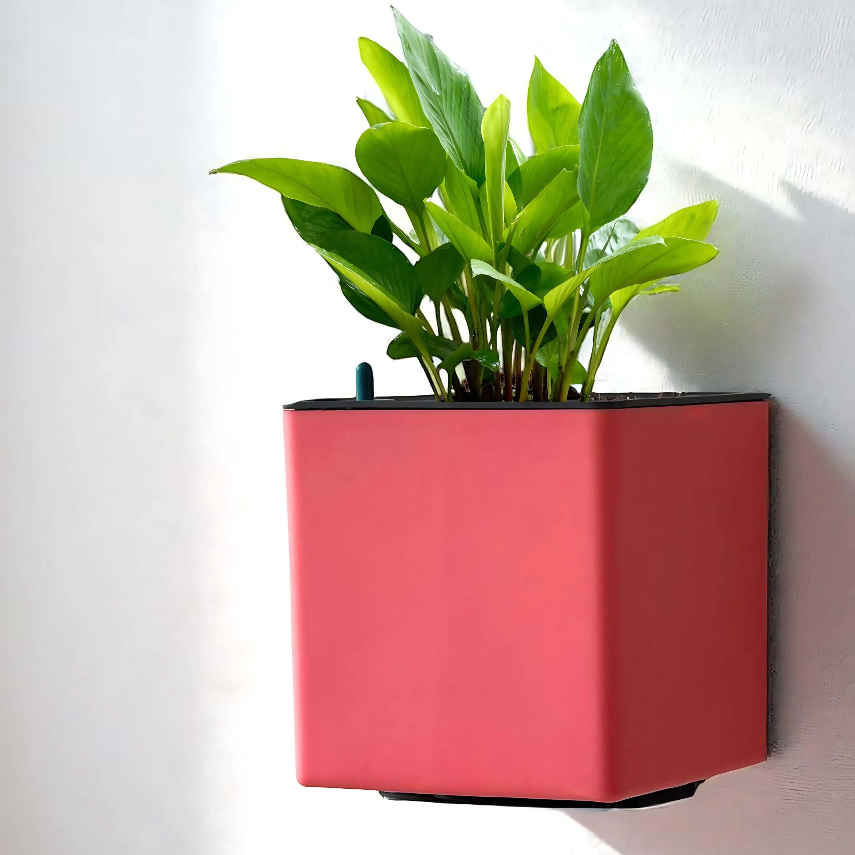 Elegant Baby Pink Self-Watering Wall Hanging Square Planter