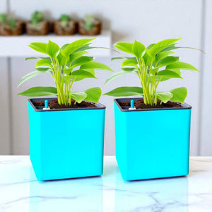 Elegant Peacock Green Self-Watering Square Planter