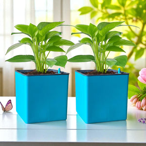 Elegant Sea Green Self-Watering Square Planter