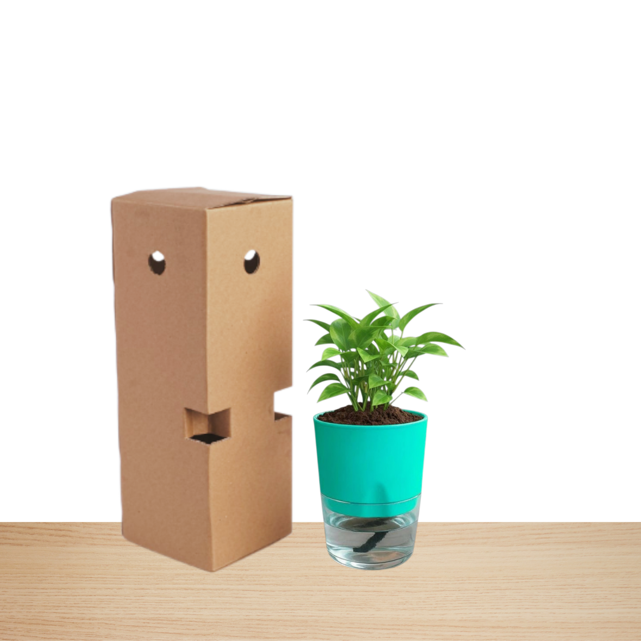 Self Watering Planter with Live Indoor Plant-Peacock Green